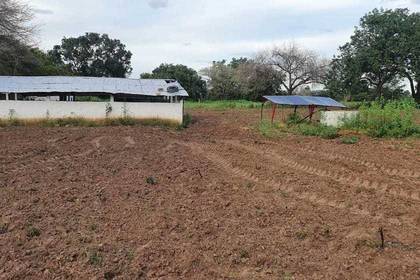 Feld im Farm Projekt im Senegal