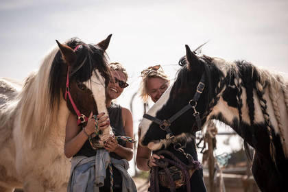 Volunteers with horses in an animal welfare project in Tenerife