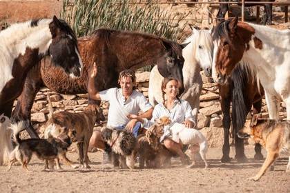 Im Tierschutz Projekt auf Teneriffa sind viele Tiere, die sich über Volunteers freuen