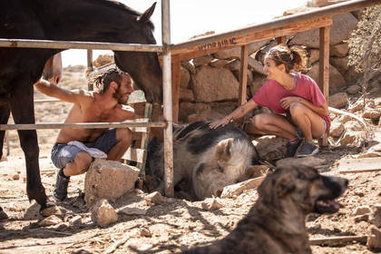 Im Tierschutz Projekt auf Teneriffa gibt es alle möglichen Tiere: Pferde, Hunde, Schweine, ...