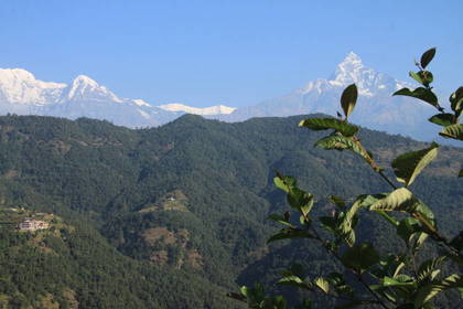 Mountain forests and peaks along our trekking route