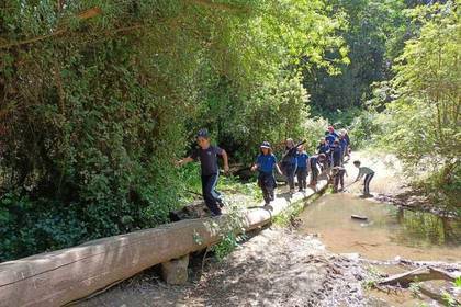 Aktivitäten im Botanischen Garten  in Viña del Mar