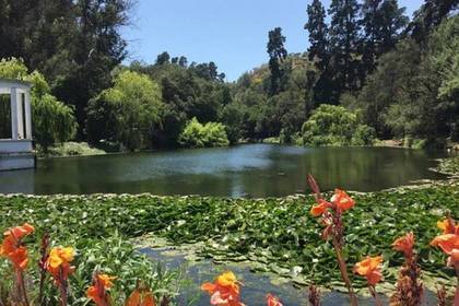 Volunteering im Botanischen Garten in  in Viña del Mar