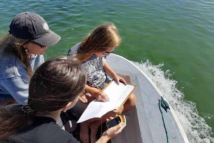 Volunteers dokumentieren ihre Arbeitsergebnisse