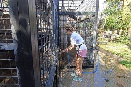 Die Käfige werden täglich gereinigt