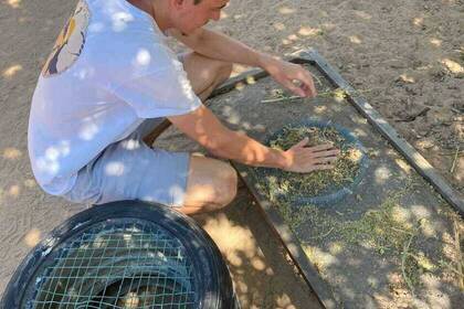 Volunteering im Großraum Krüger Nationalpark
