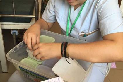 Pflegepraktikum im Krankenhaus in Afrika