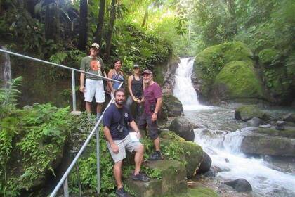Volunteers in the nature reserve in Costa Rica