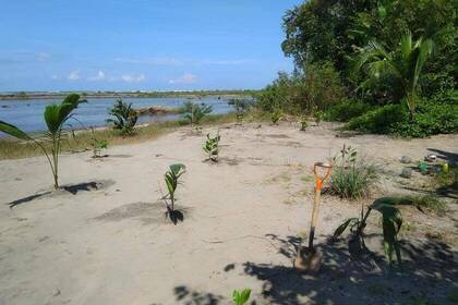 Volunteers im Naturreservat in Costa Rica