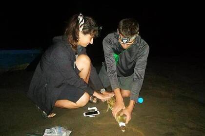 Costa Rica Krokodil Volunteers