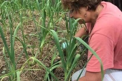 Transsilvanien Gartenarbeit Freiwillige	