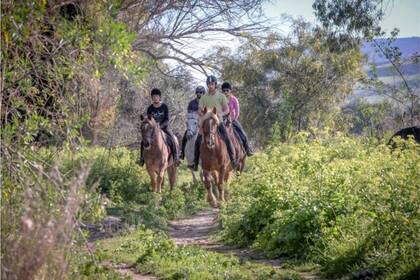 Reiten im Projekt an der Pferde-Akademie