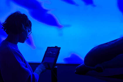 Im Volunteer Projekt lernst du viel Neues