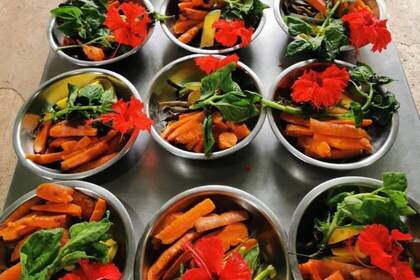 Futter der Tiere in der Auffangstation in Costa Rica