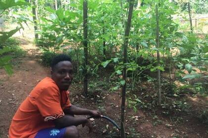 Teamleiter Organic Farm