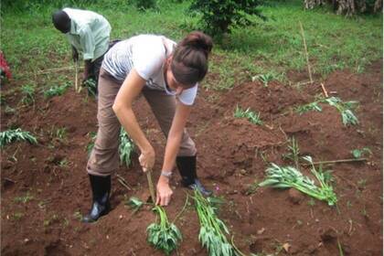 In der Landwirtschaft helfen in Uganda