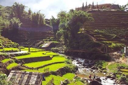 Reisterrassen in Vietnam