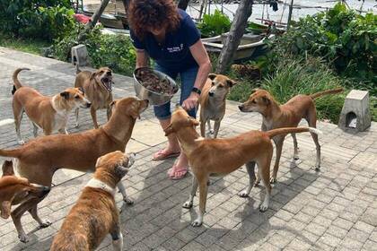 Auch Gassi gehen gehört zu den täglichen Aufgaben