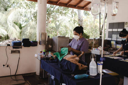 Über 80.000 Kastrationen wurden bereits in der Tierklinik durchgeführt