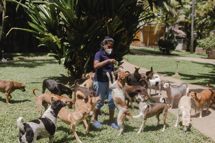 Die Hunde freuen sich immer über Volunteers, die mit ihnen spielen