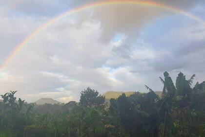 Regenbogen über der Eco Community an der Sunshine Coast
