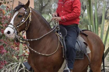 Horse trainer Juan Manuel