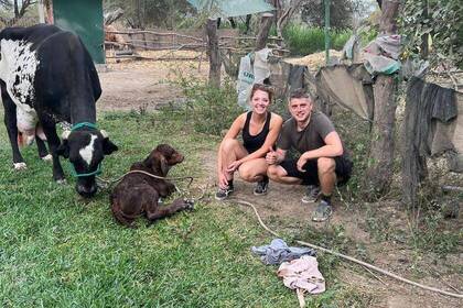 Volunteers auf der Pferdefarm in Peru
