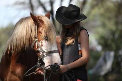 Unterstütze als Volunteer eine Pferdefarm in Peru