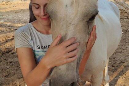 Kümmere dich liebevoll um die Pferde