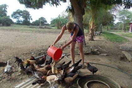 Hühner füttern gehört ebenfalls zu den Aufgaben auf der Farm