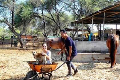 Auf der Farm erwarten dich vielfältige Aufgaben