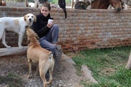 Auf der Farm in Lambayeque leben viele verschiedene Tiere