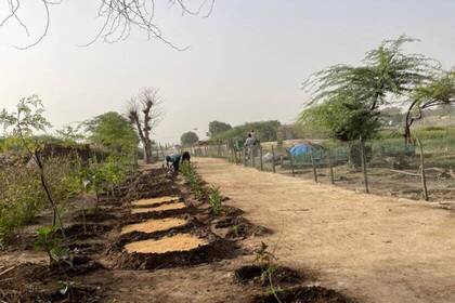 Auf der ökologischen Farm wachsen diverse Pflanzen und Bäume