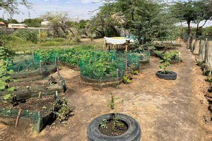 Landwirtschaftsprojekt in Diourbel