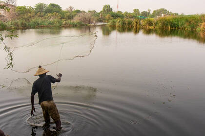 Fishing in Senegal