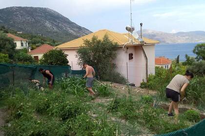 Gartenarbeit in Griechenland