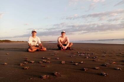 Volunteers releasing turtles on the beach