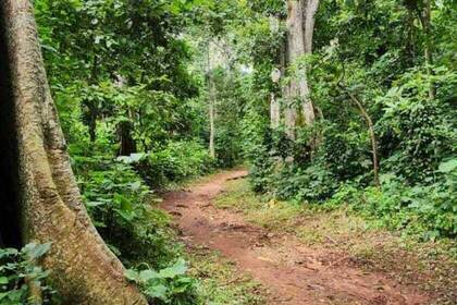 Deine Einsatzstelle im Freiwilligenprojekt