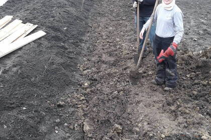 Gartenarbeit im Projekt