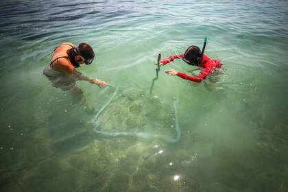 Volunteers im Umweltschutzprojekt auf den Ionischen Inseln