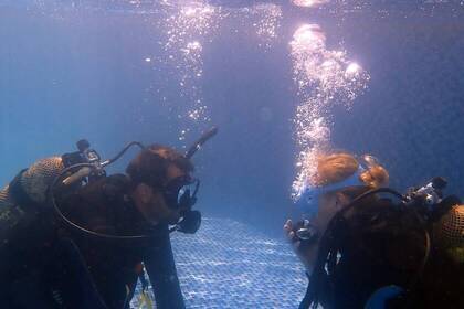 Die Volunteers werden zunächst im Pool im Tauchen unterrichtet.