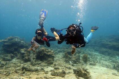 Volunteers beim Tauchen in Tansania