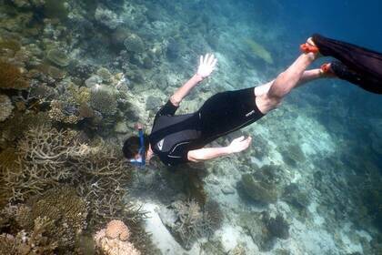 There is also snorkeling at the turtle and marine conservation project in Mtwara.