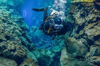 Volunteer taucht im Meeresschutzprojekt in Barcelona 