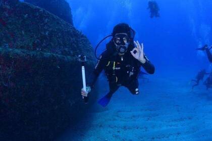 Volunteer dives in the marine conservation project in Barcelona