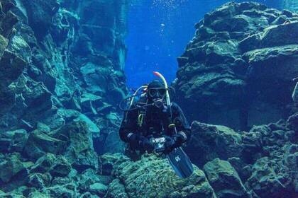 Volunteer taucht im Meeresschutzprojekt in Barcelona 