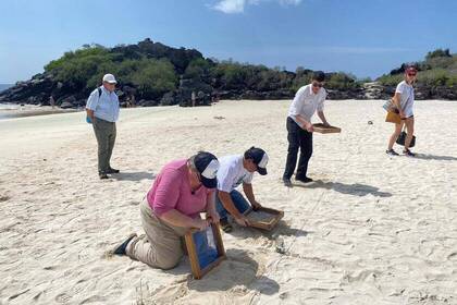 Beach clean-ups in the Plastic-Free Galapagos project
