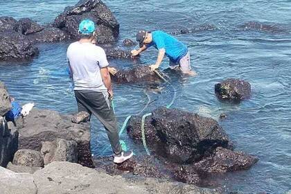 Plastic and trash are also collected from the sea near the Galapagos Islands.