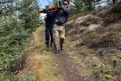 Eco Village Projekt in Island