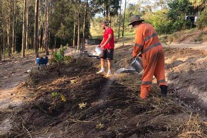 Im Eco Community Center in Australien wird viel an der frischen Luft gearbeitet.